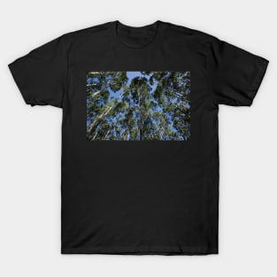 Tall trees T-Shirt